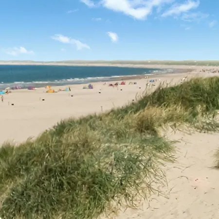 Hovgardsvej Henne Iii